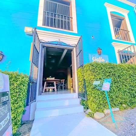 Gallo Azul Hotel, En El Corazon De Тодос Сантос Екстериор снимка