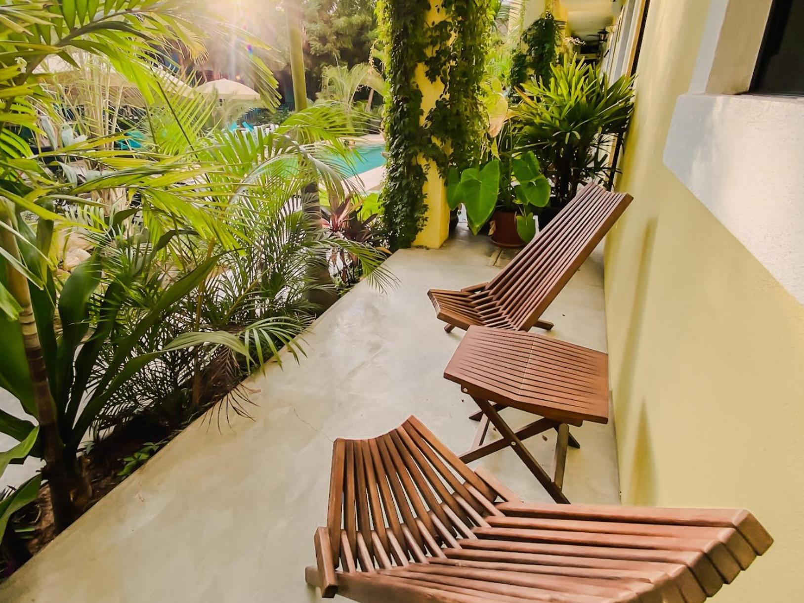 Gallo Azul Hotel, En El Corazon De Тодос Сантос Екстериор снимка