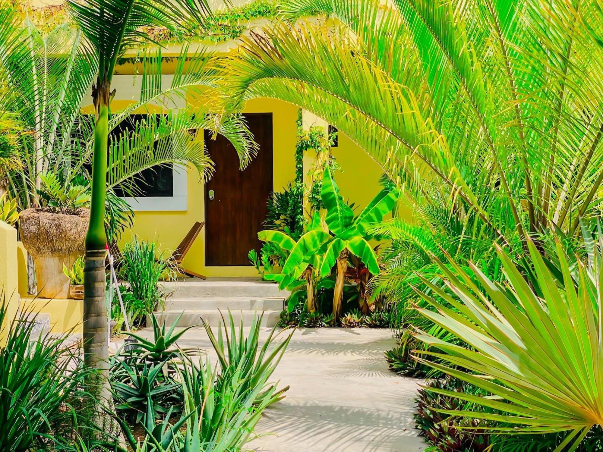 Gallo Azul Hotel, En El Corazon De Тодос Сантос Екстериор снимка