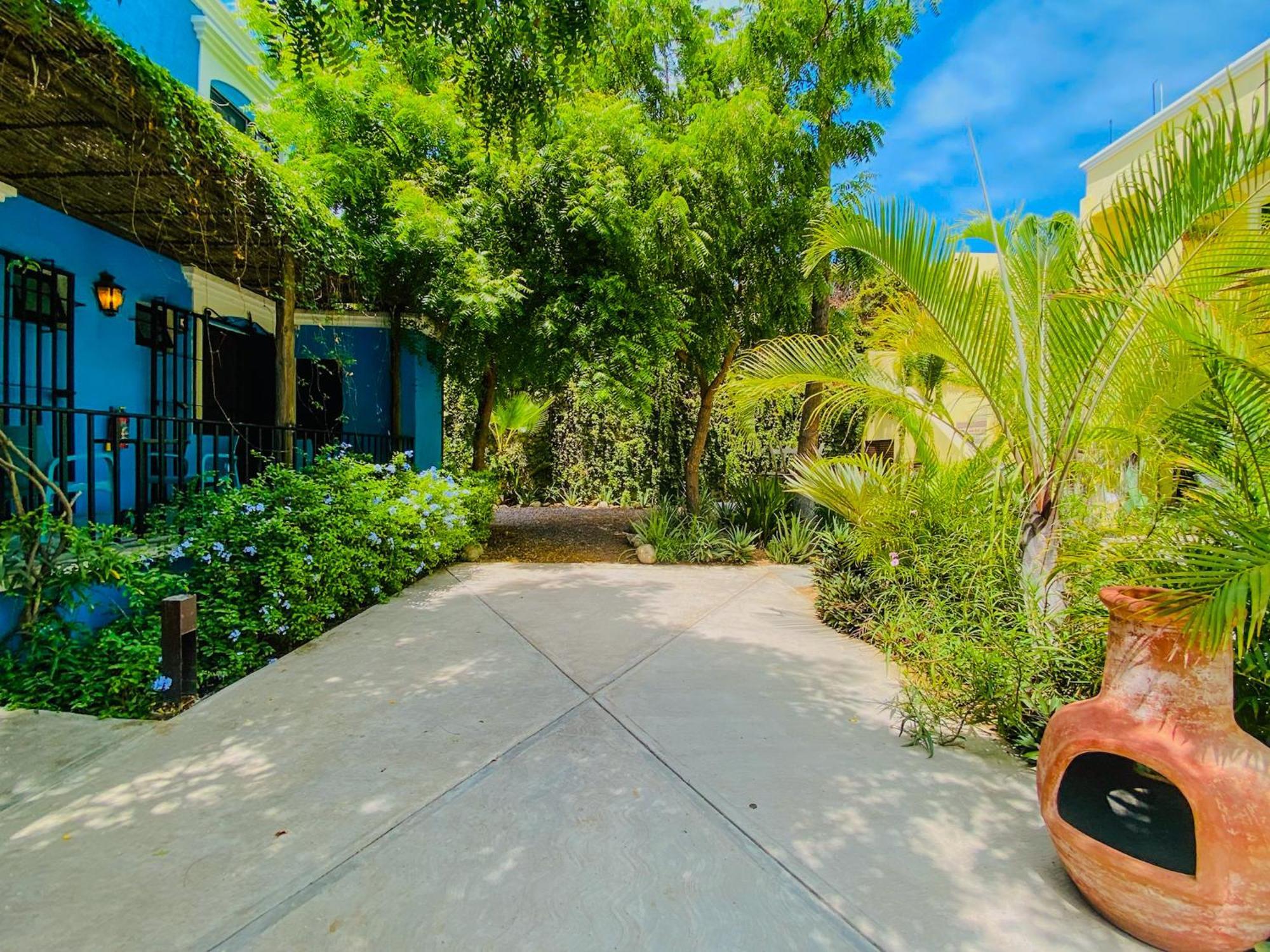 Gallo Azul Hotel, En El Corazon De Тодос Сантос Екстериор снимка