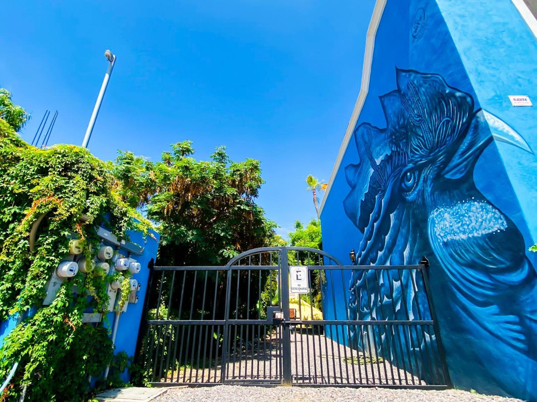 Gallo Azul Hotel, En El Corazon De Тодос Сантос Екстериор снимка