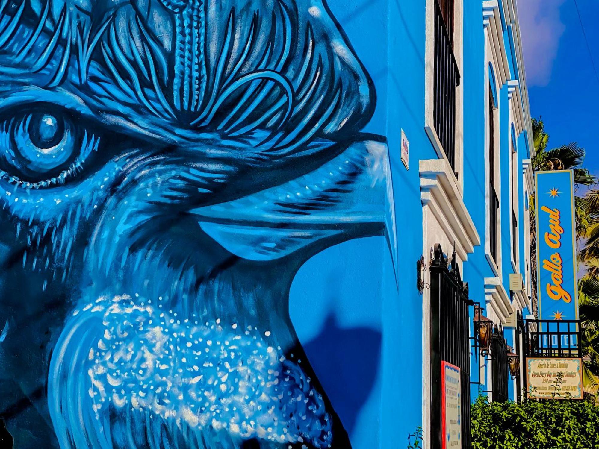 Gallo Azul Hotel, En El Corazon De Тодос Сантос Екстериор снимка